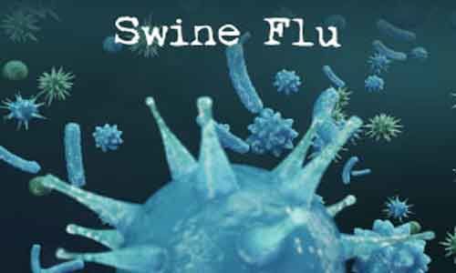 Swine flu treatment
